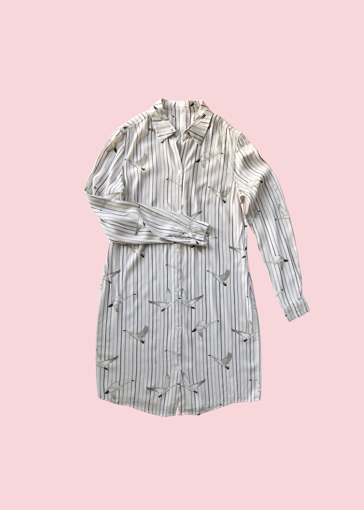 Shirt Dress