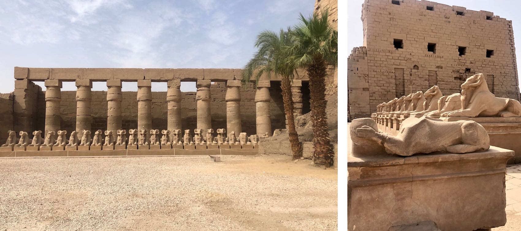 ram headed sphinxes