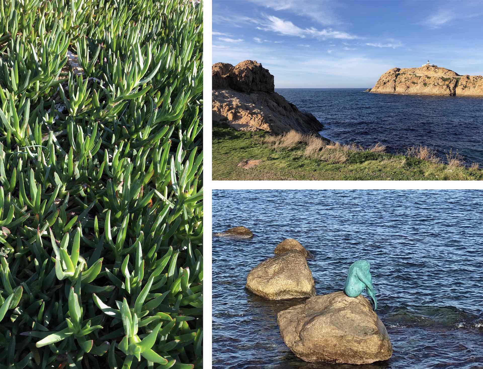 vegetation, sea and mermaid