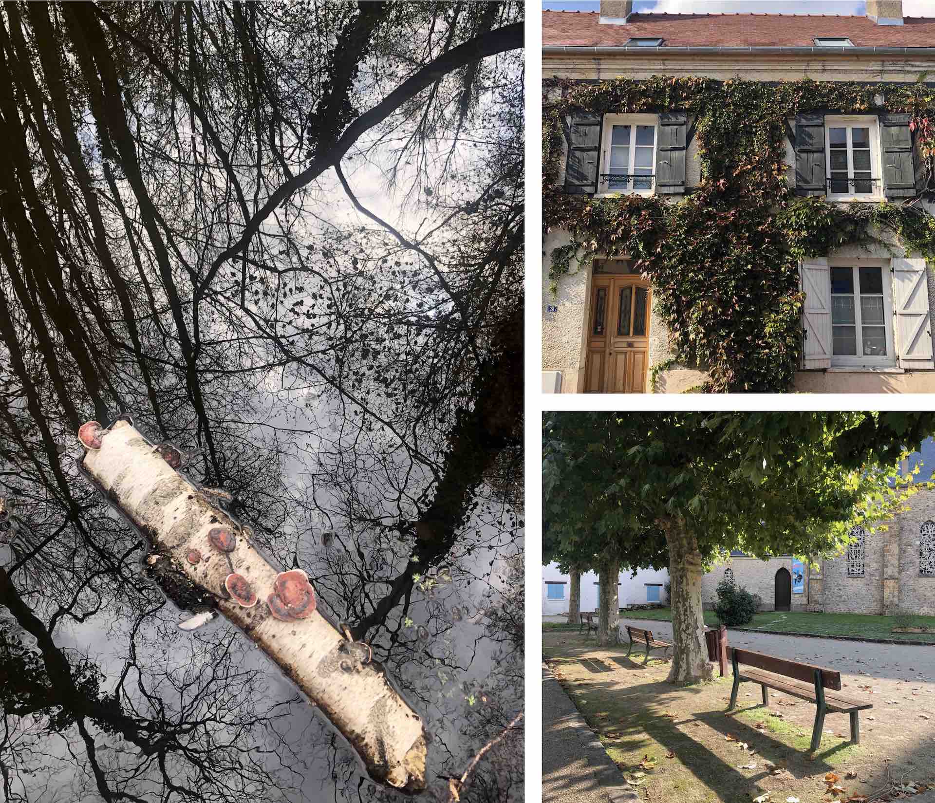 pond, house and benches