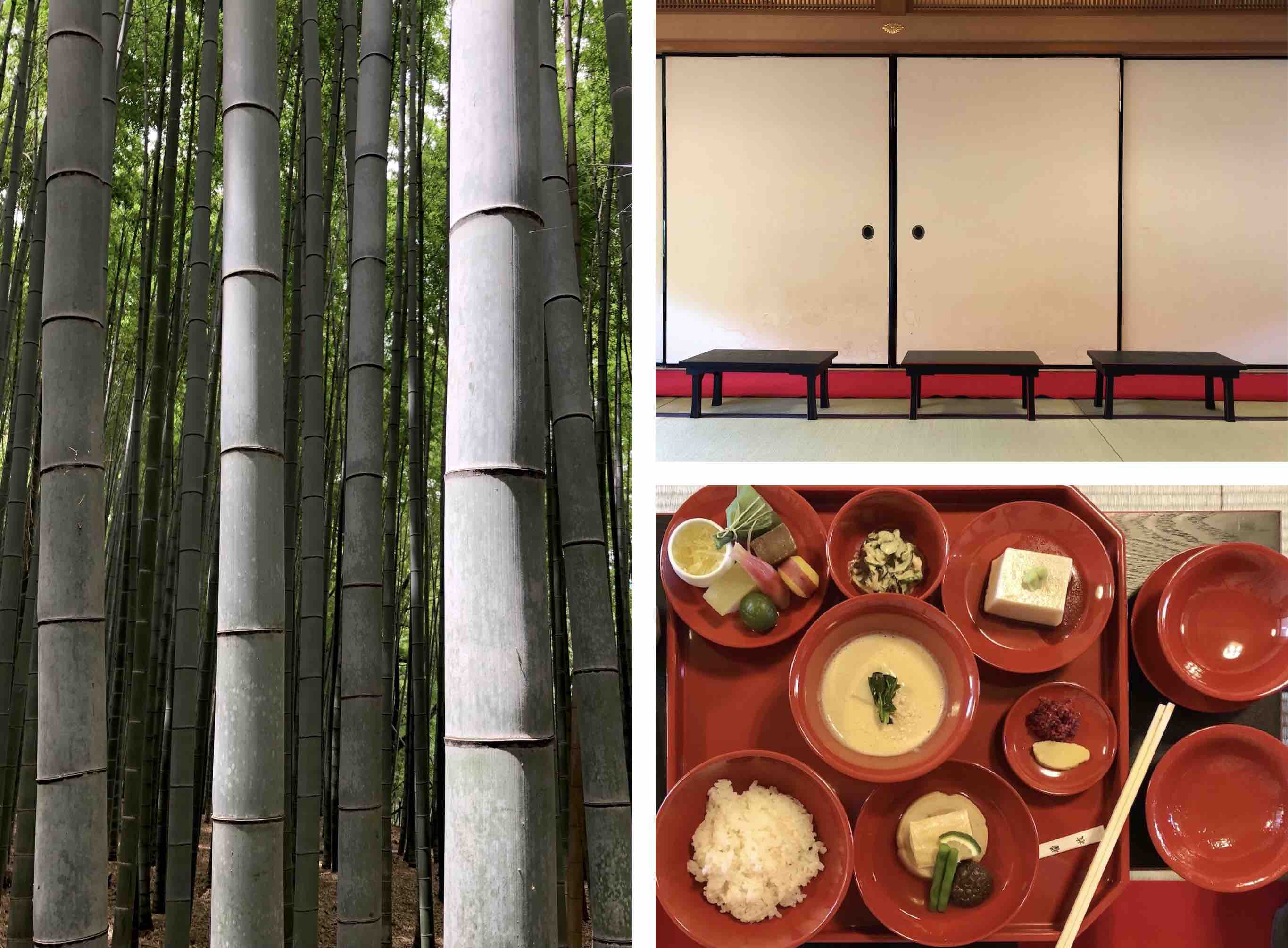 bamboo trees and temple food