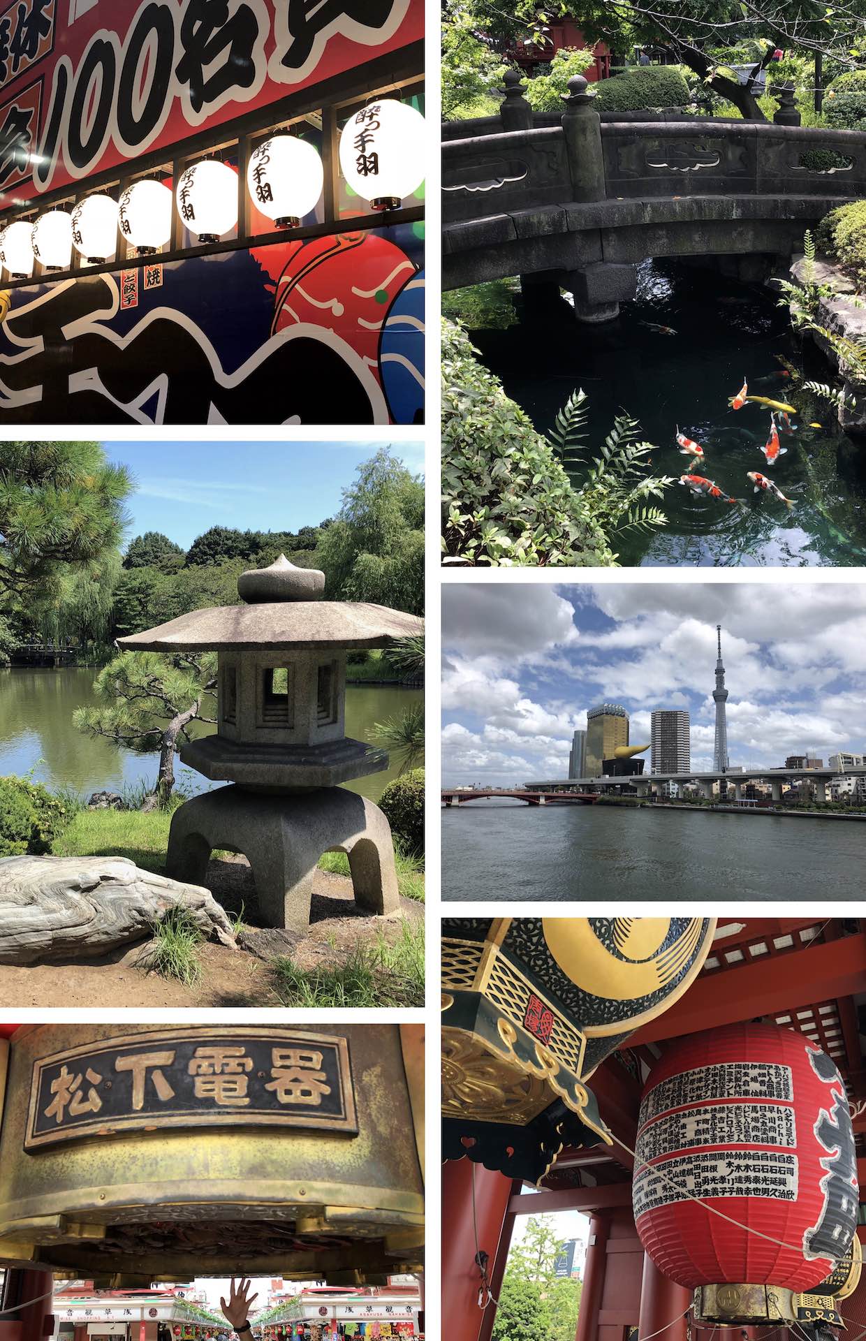 tokyo lanterns and gardens